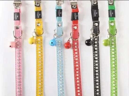 Coller Set With Bell 1 Pcs