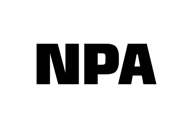 NPA Case Loan view 4