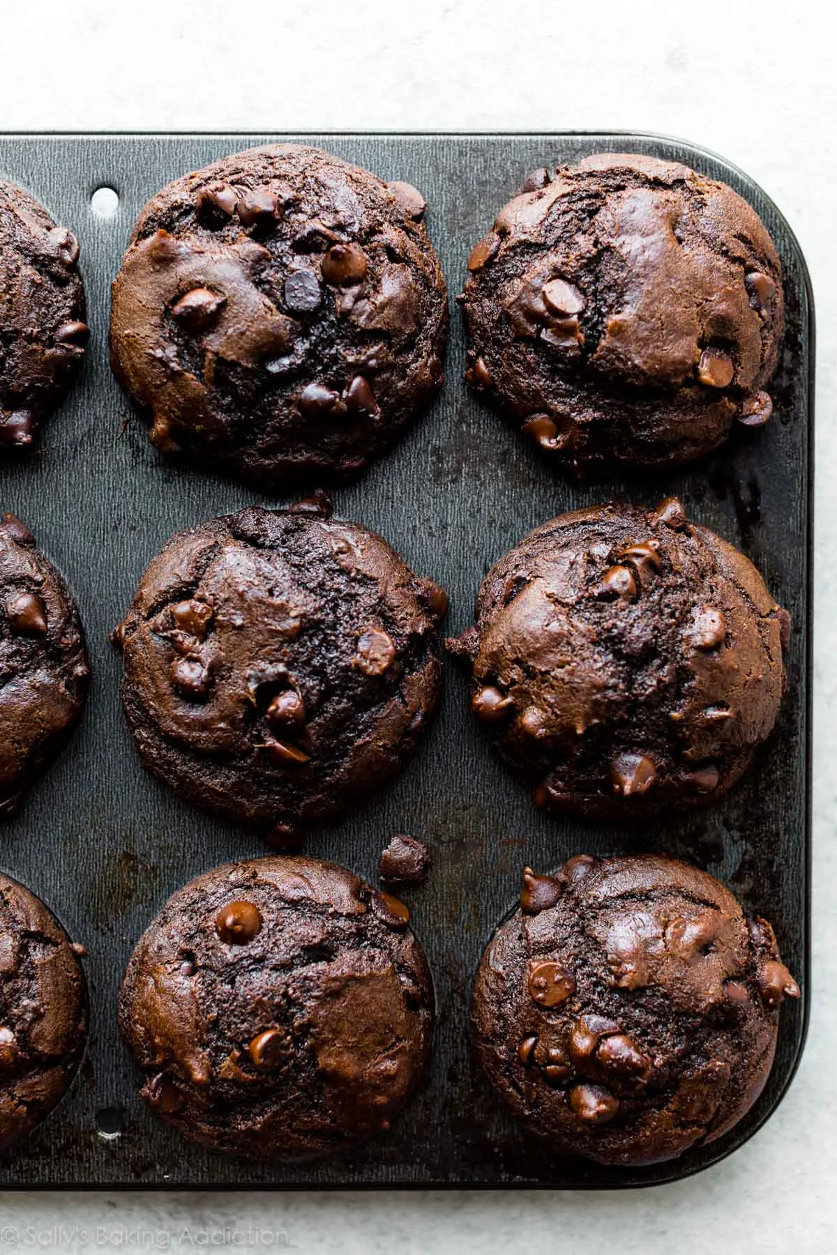 Chocolate Muffins Pack 6pcs