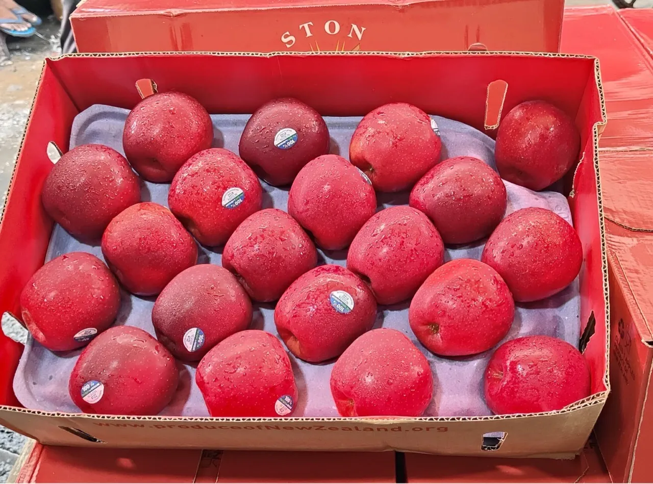 New Zealand Queen Apples Per KG