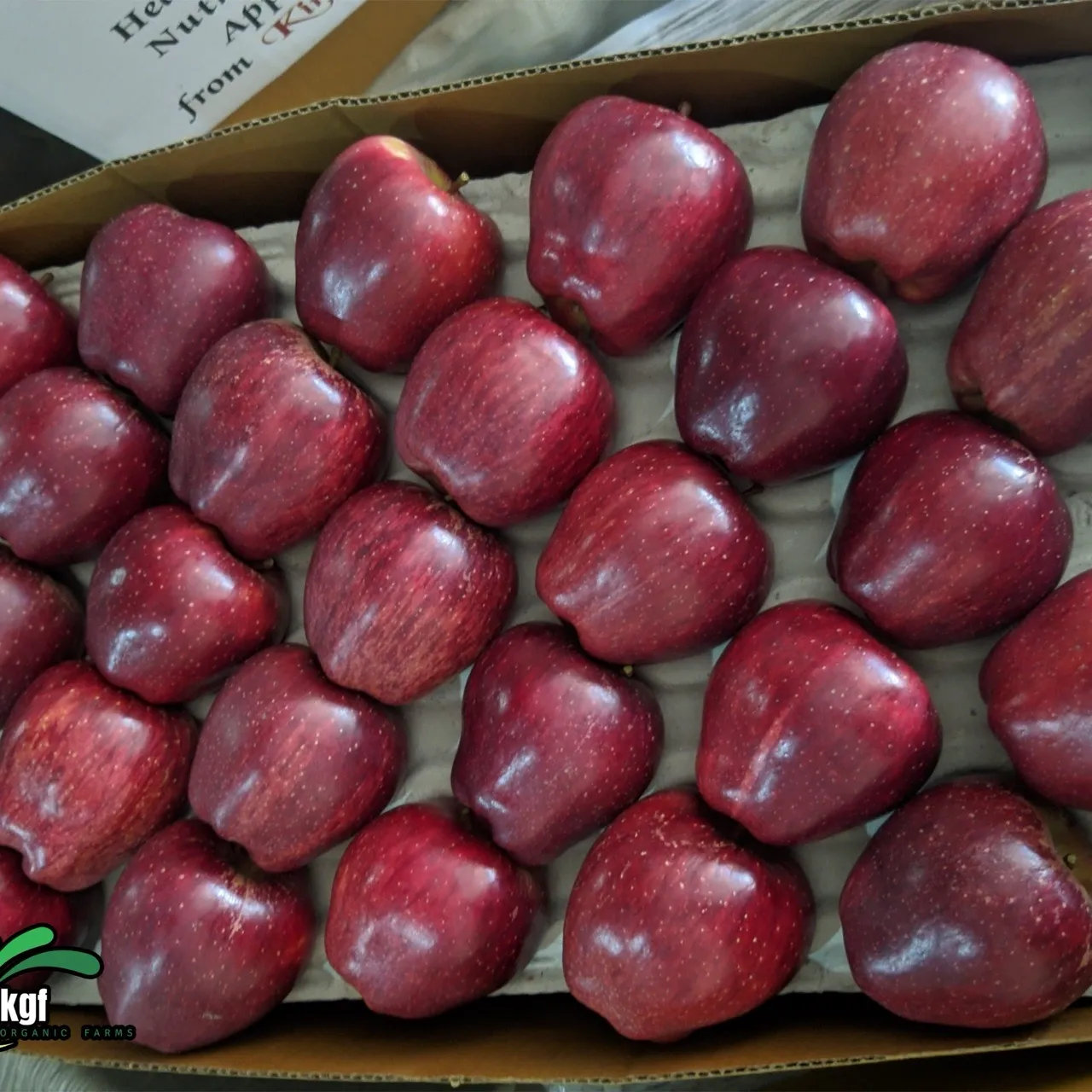 Kinoor Apples