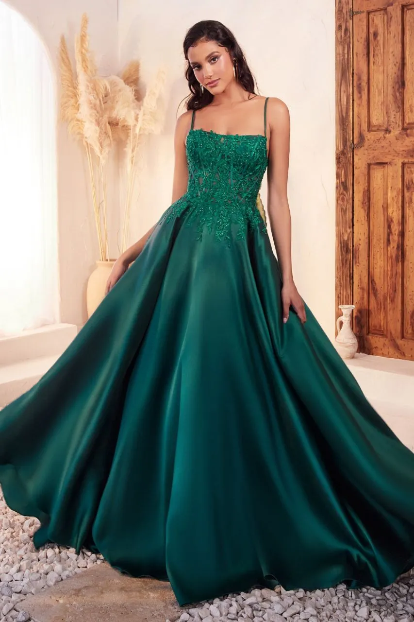 Dress/Gown