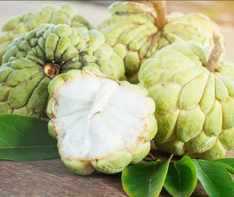Custard Apple 500g