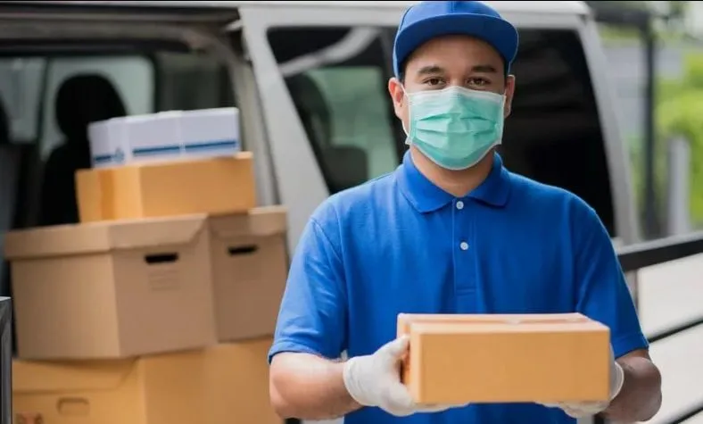 Domestic Courier services