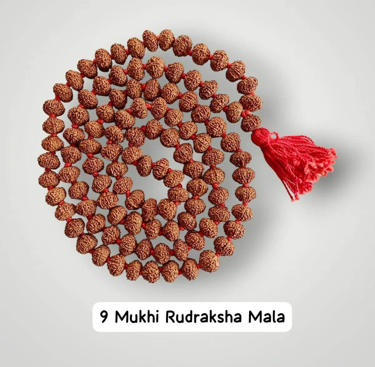 AstroBJ 9 Mukhi Rudraksha Mala "Siddh & Energised" A+++ Quality view 2
