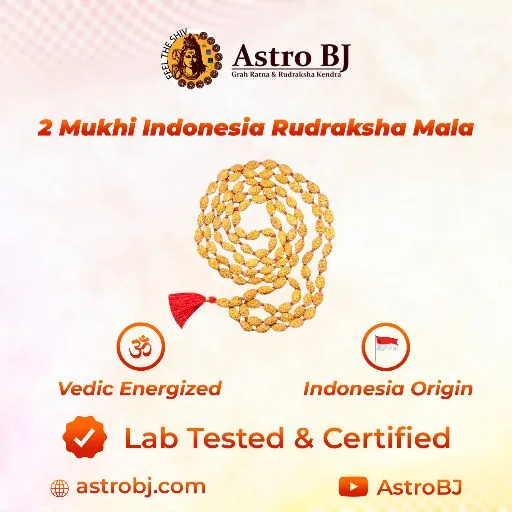 AstroBJ 2 Mukhi Rudraksha Mala "Siddh & Energised" A+++ Quality view 4