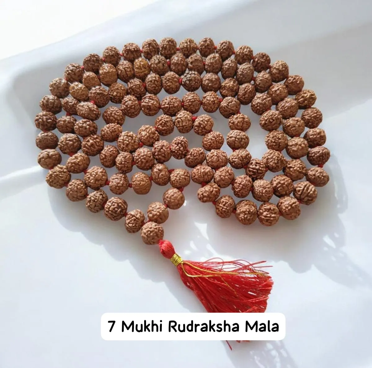 AstroBJ 7 Mukhi Rudraksha Mala "Siddh & Energised" A+++ Quality view 2