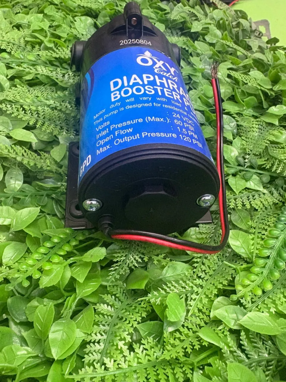 Diaphragm Booster Pump Oxy Catch 100 GPD view 5