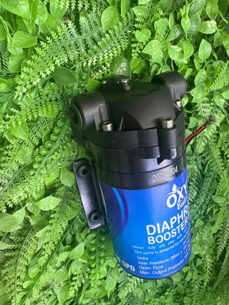Diaphragm Booster Pump Oxy Catch 100 GPD view 2