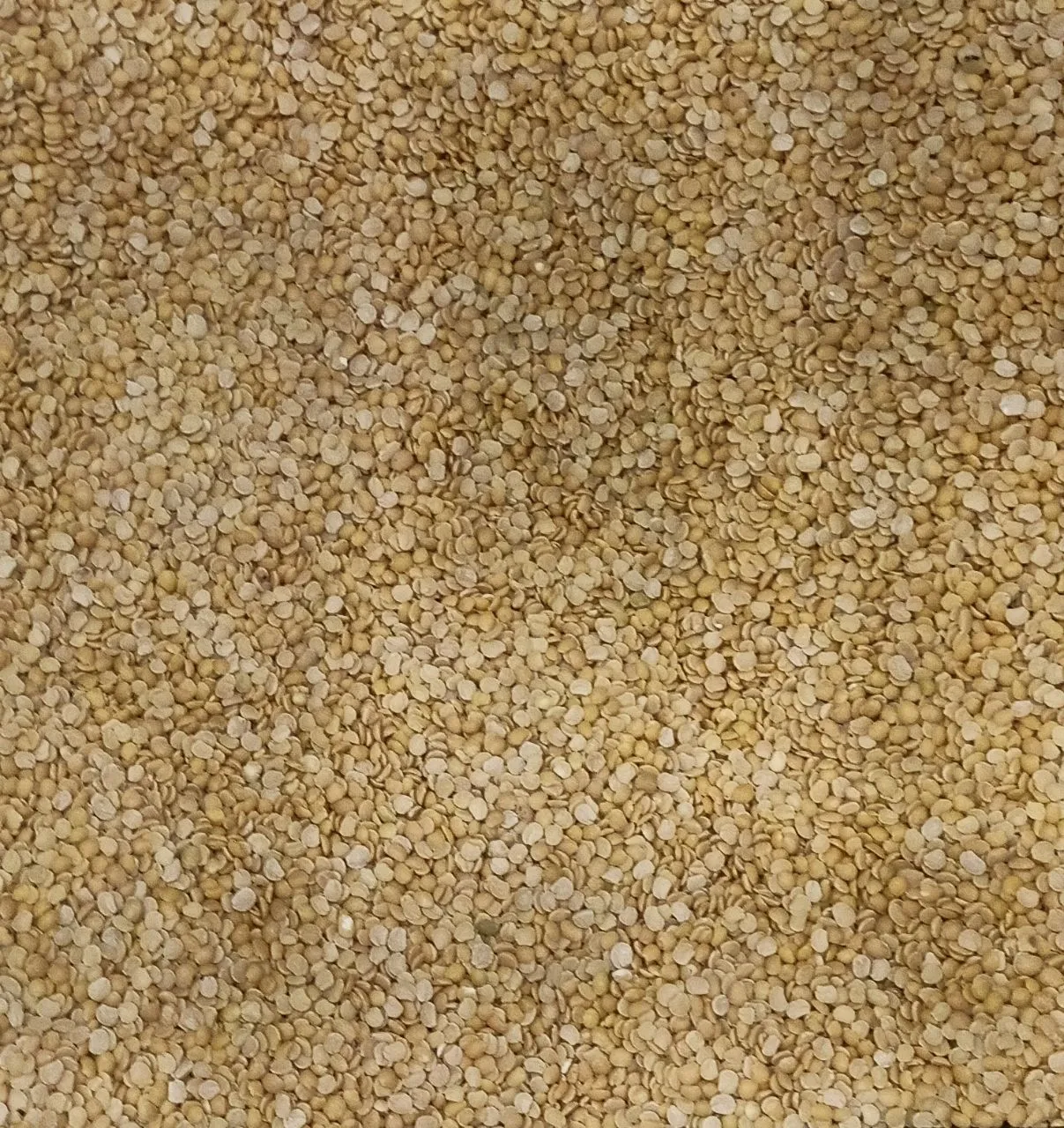 Arhar Dal Unpolised Loose 1kg