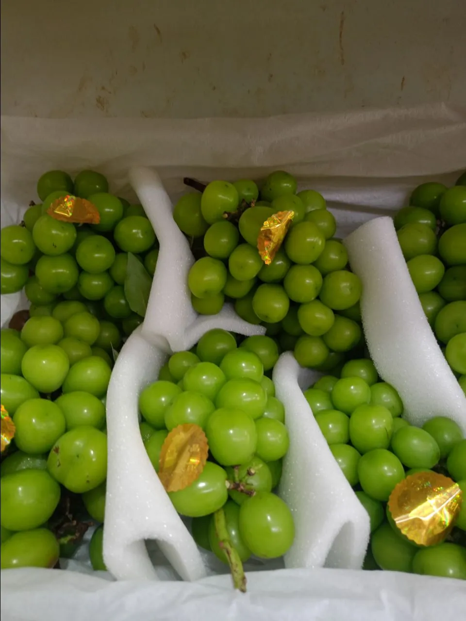 Green Grapes 250g