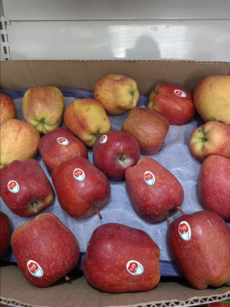 Fresh Kashmir Apples