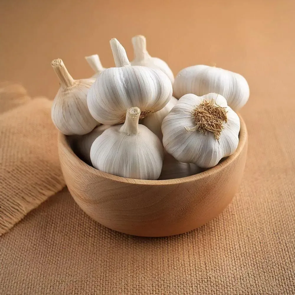 Fresh Garlic 100g