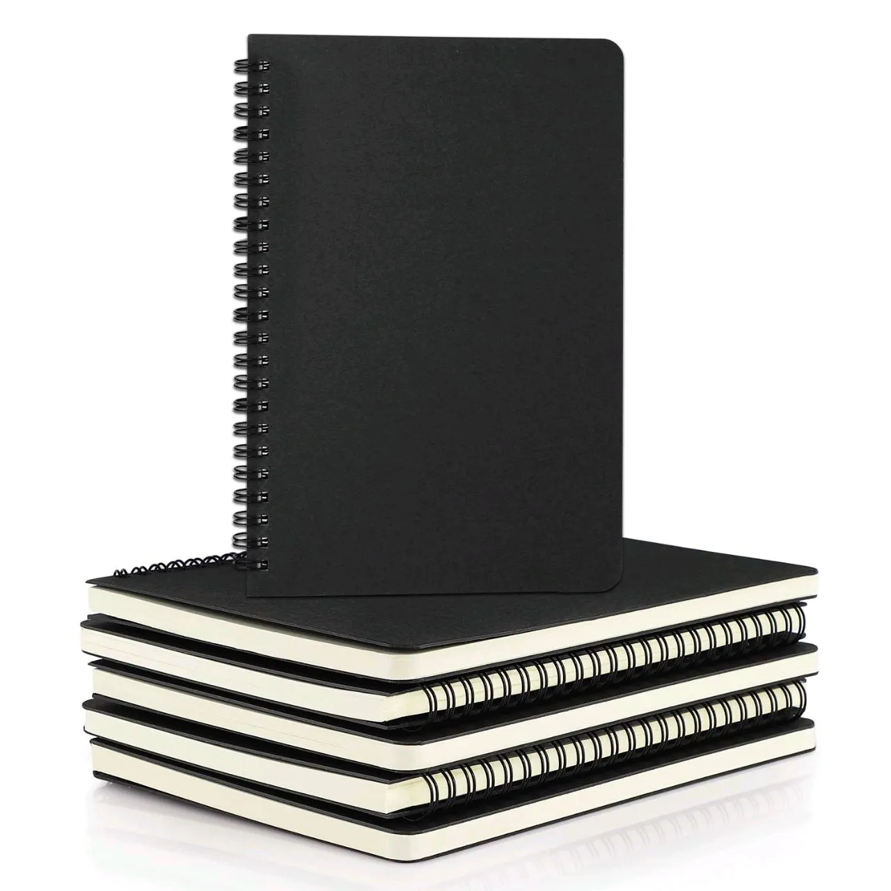 Spiral Dairy 1 Piece 100 Page