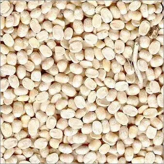 Nf dhuli urad dal