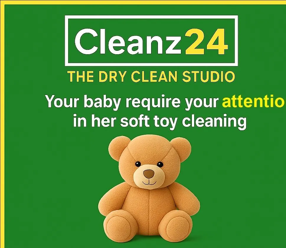 Cleanz24 Soft Toy Cleaning