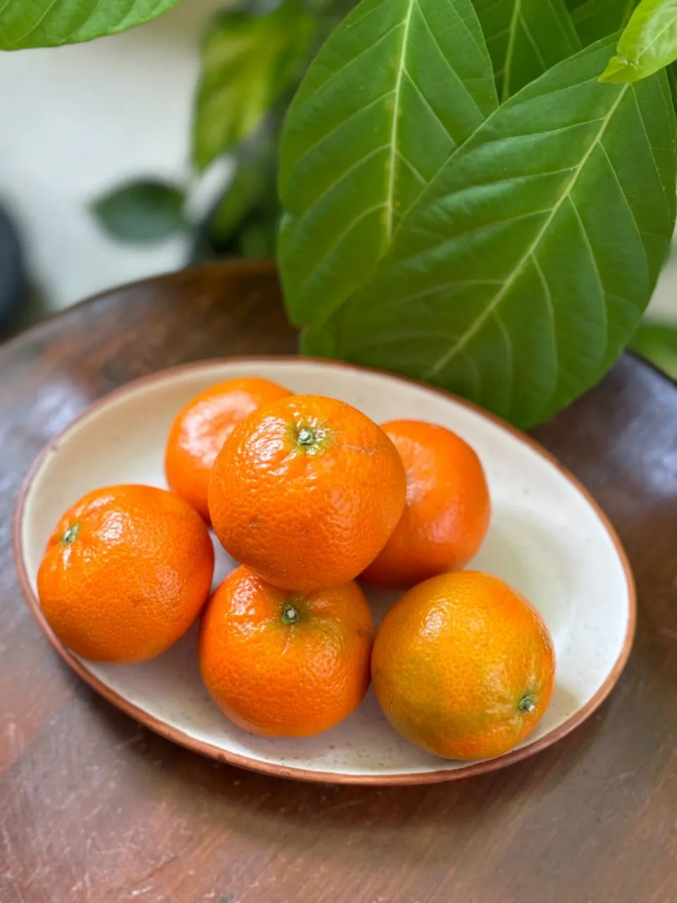 Fresh Mini Orange 250g