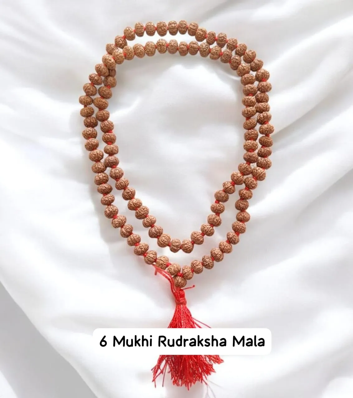 AstroBJ 6 Mukhi Rudraksha Mala "Siddh & Energised" A+++ Quality view 2