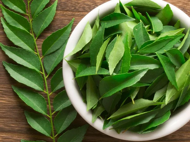 Fresh Curry Leaves 100g