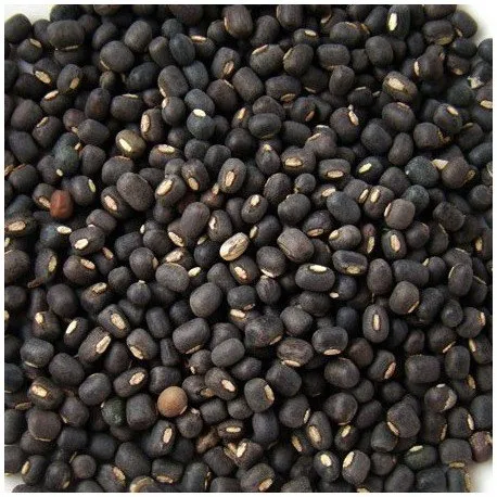 Nf urad sabut black 500G