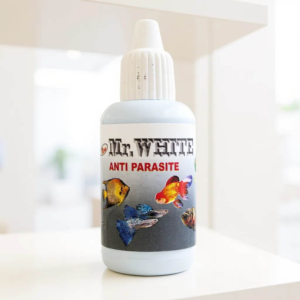 Mr. Wsite Anti Parasite