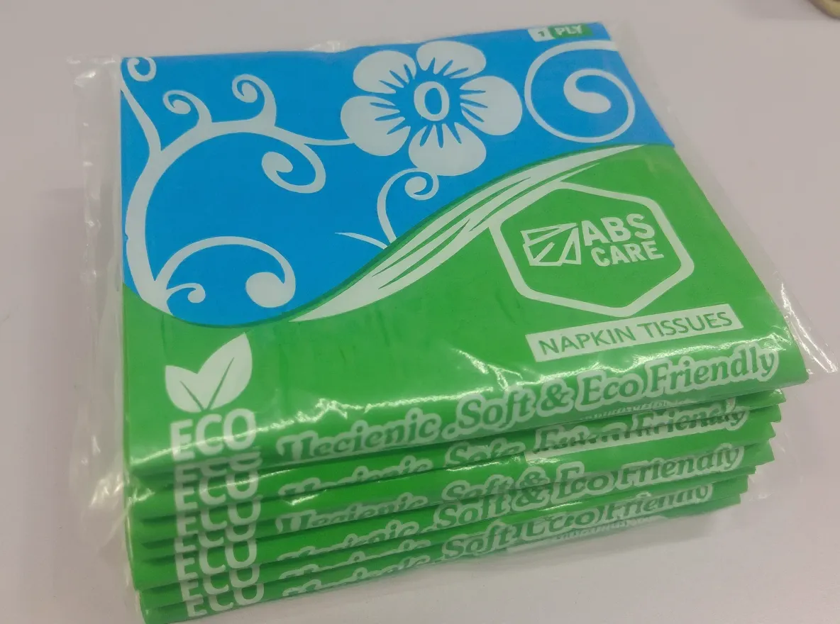 Care Eco Napkin Tissues