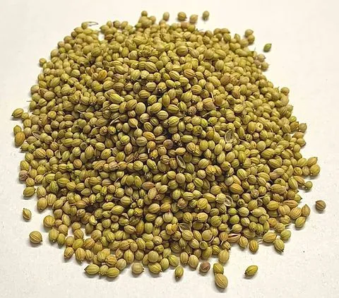 Dhania Saboot 200gm view 2