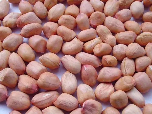 Moongfali Dana Loose 1 Kg