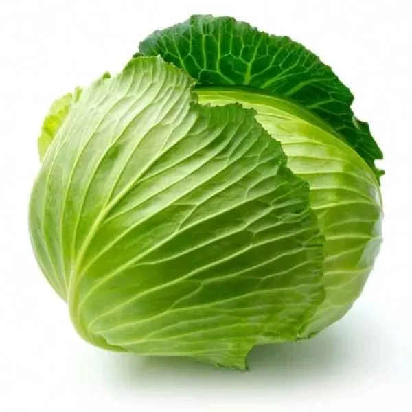 Fresh Green Cabbage 500g-800g