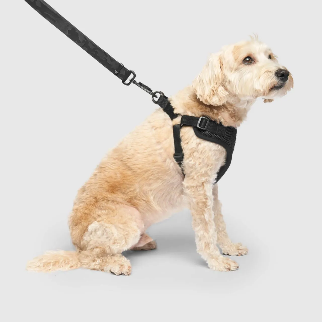 Dog Harness 1 Pcs