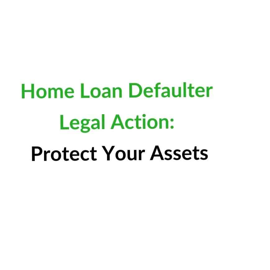 NPA Case Loan view 3