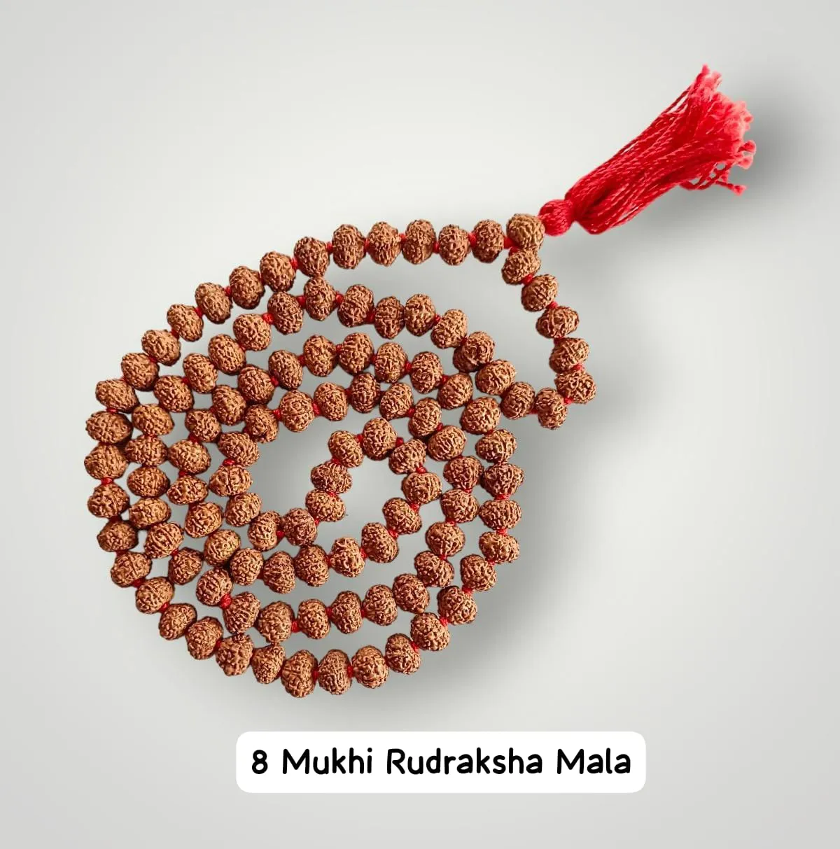 AstroBJ 8 Mukhi Rudraksha Mala "Siddh & Energised" A+++ Quality view 2