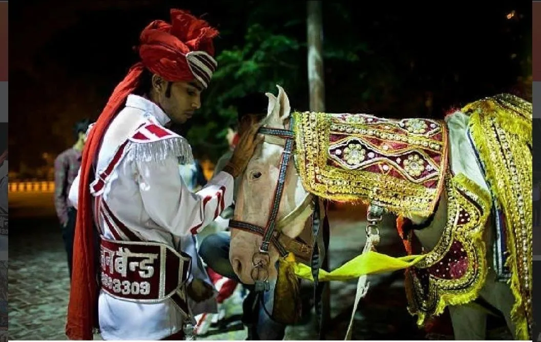 Traditional Wedding Horse Costume