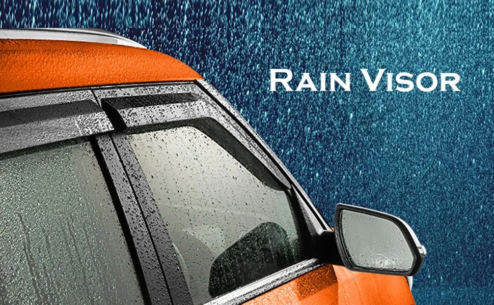 Car Door Visor