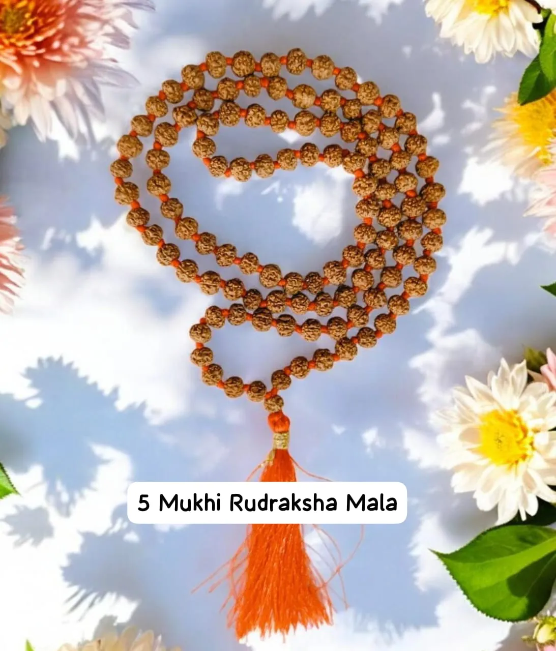 AstroBJ 5 Mukhi Rudraksha Mala "Siddh & Energised" A+++ Quality view 2