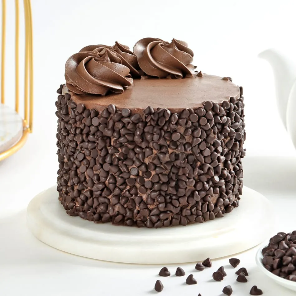 Choco Chip Truffle Cake 500 Gm