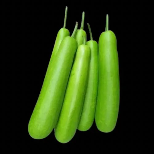 Bottle Gourd 400g-600g