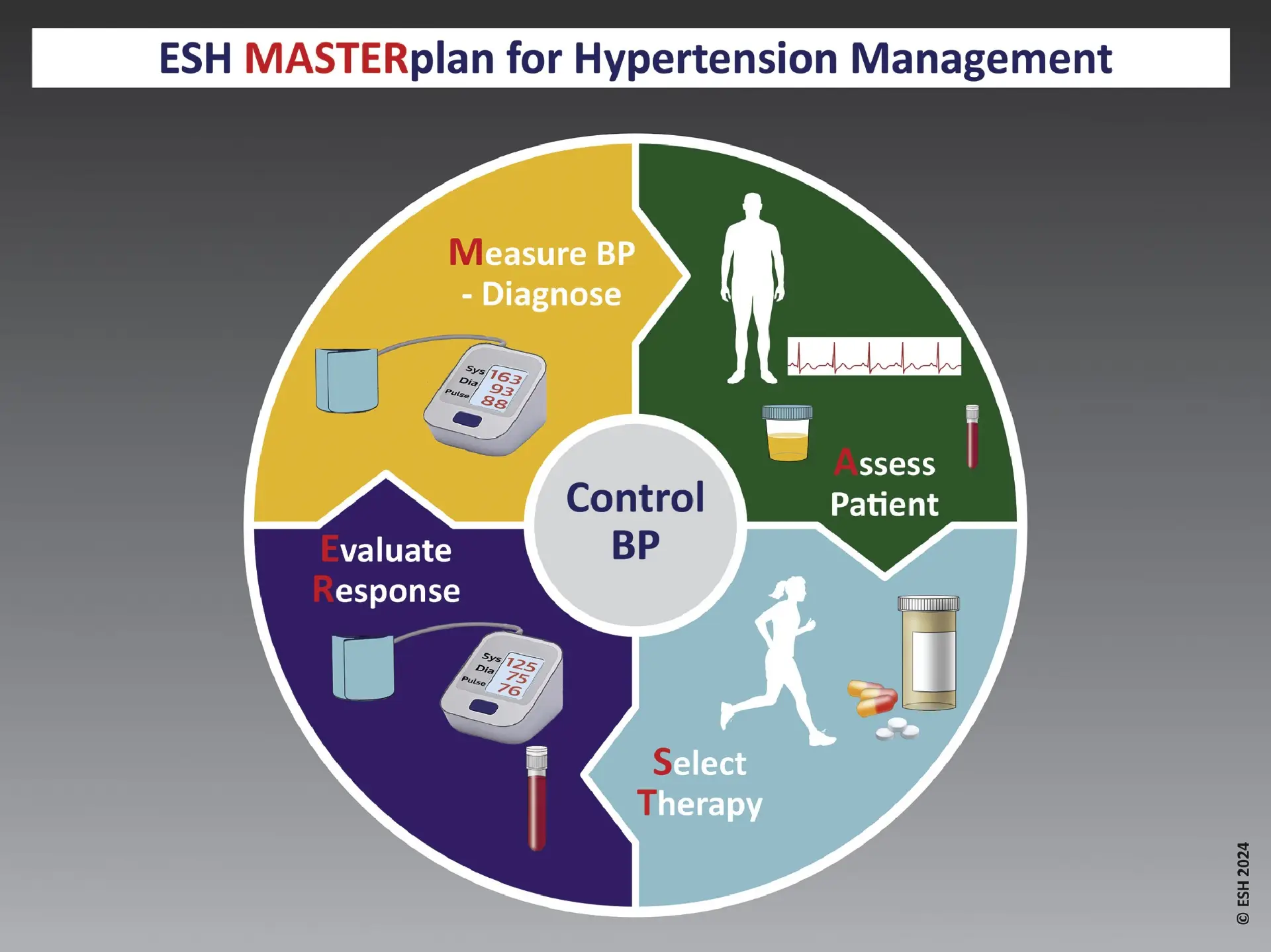 ESH MASTERplan for Hypertension Management