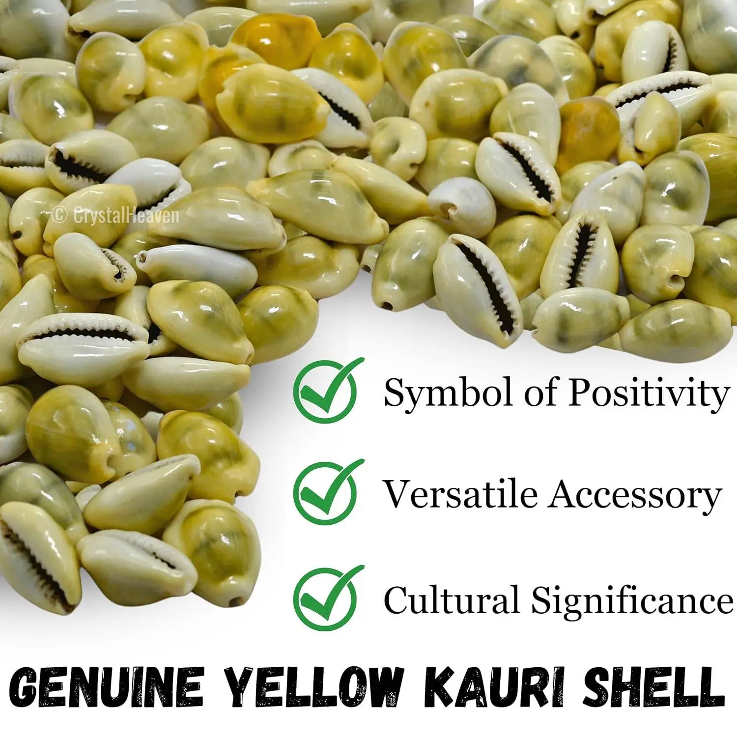"Energized Kodi" Cowrie Shell Beads Set Of 11 (Yellow & White) view 2