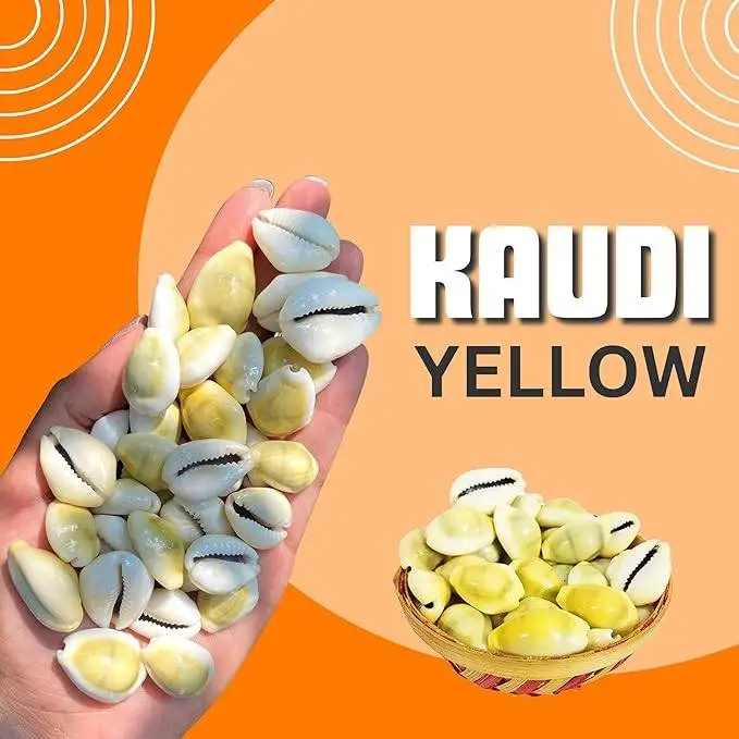 "Energized Kodi" Cowrie Shell Beads Set Of 11 (Yellow & White) view 3