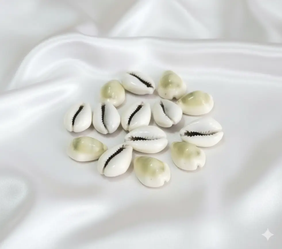 "Energized Kodi" Cowrie Shell Beads Set Of 11 (Yellow & White) view 4