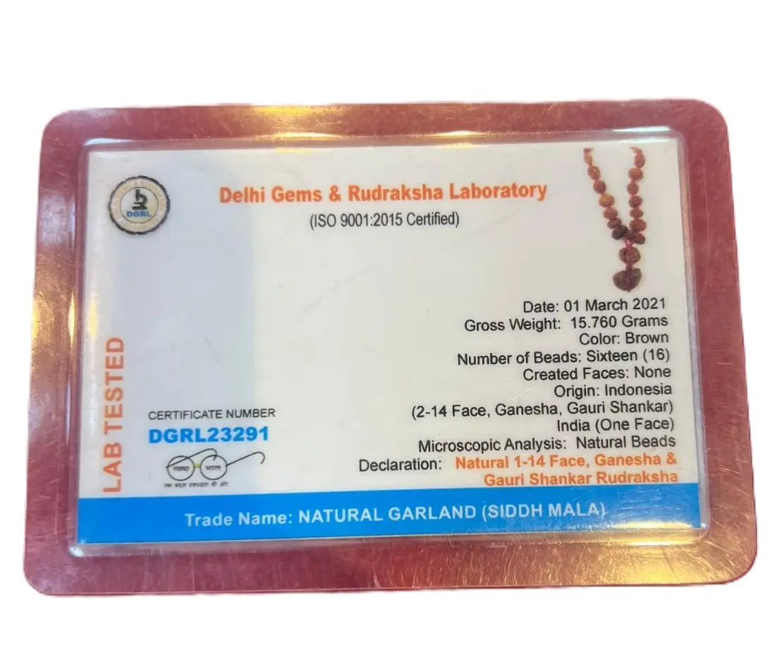 Siddh Indonesia Rudraksha Mala view 4
