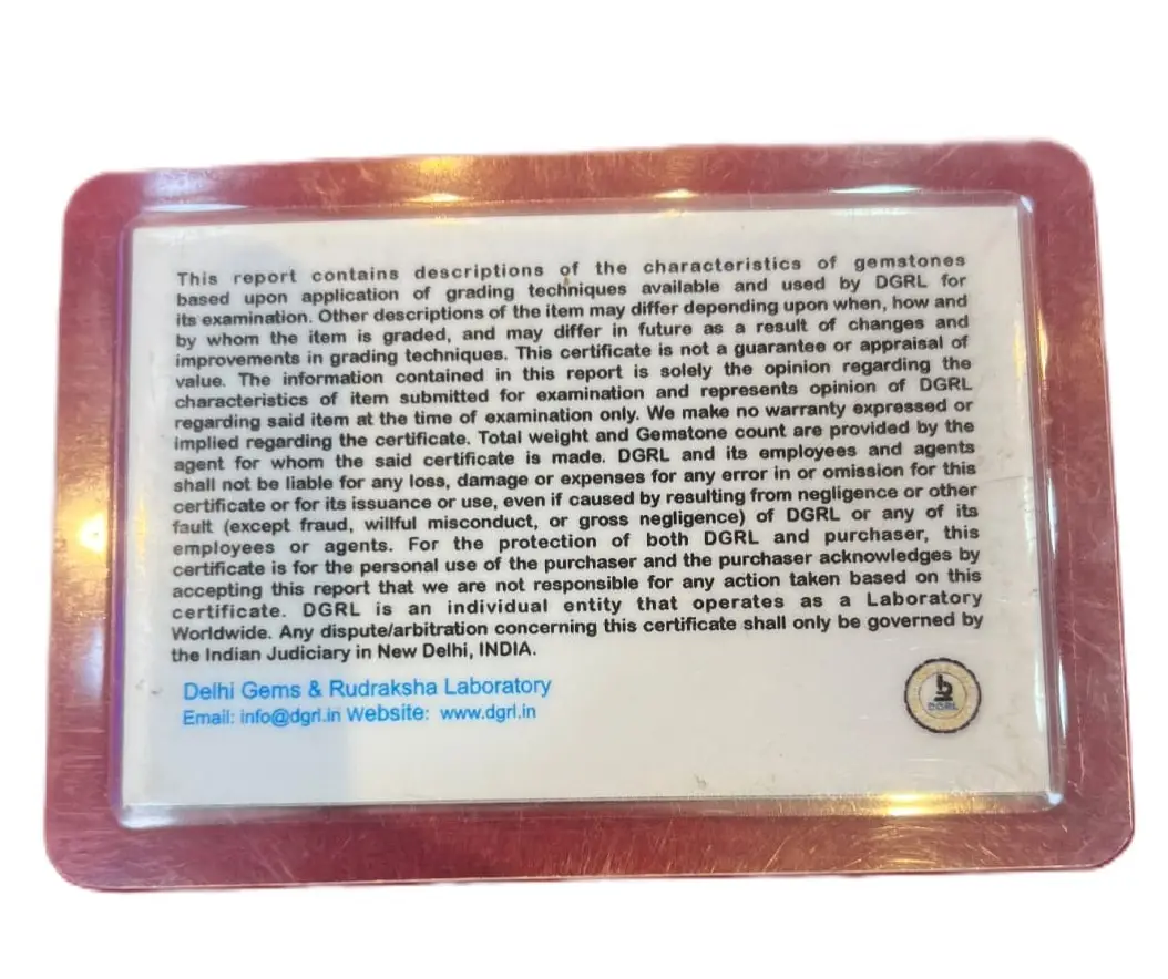 Siddh Indonesia Rudraksha Mala view 5
