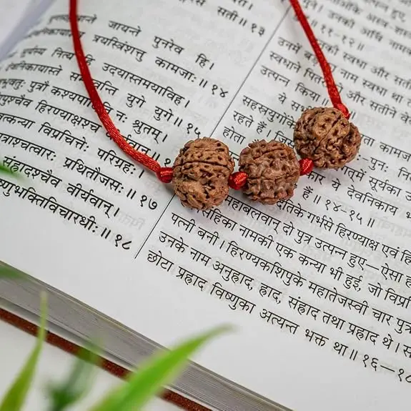 Saraswati Rudraksha Band/ Kavach