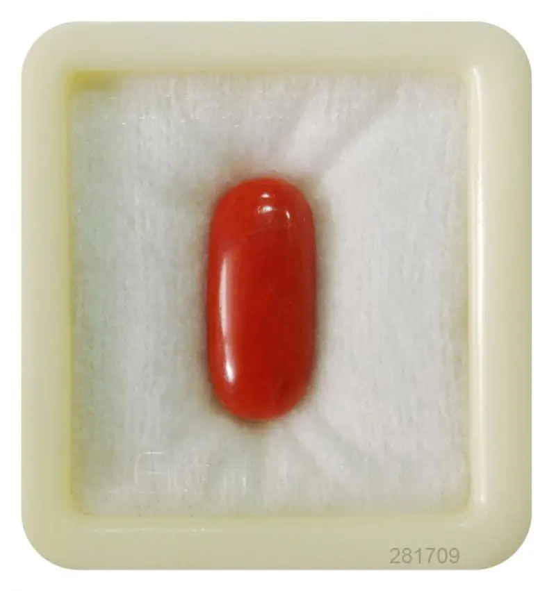 Moonga Gemstone "Capsule Shape" view 3