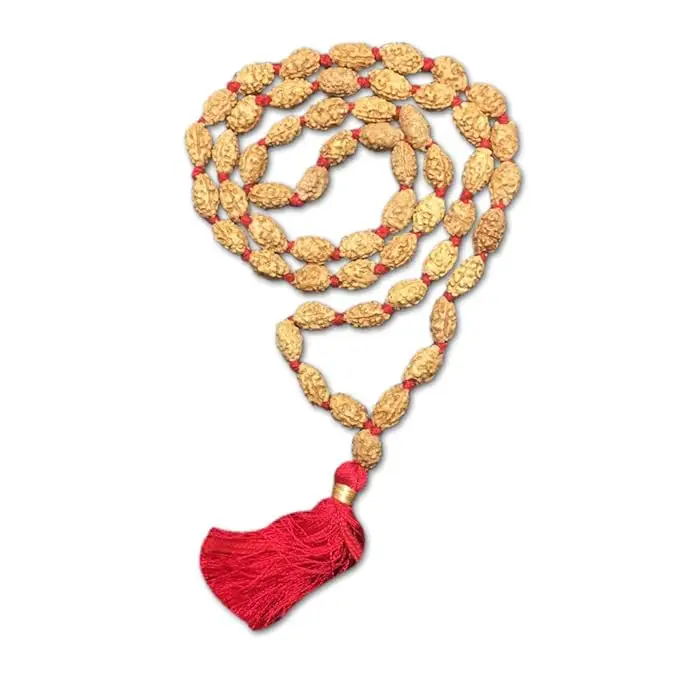AstroBJ 2 Mukhi Rudraksha Mala "Siddh & Energised" A+++ Quality view 3