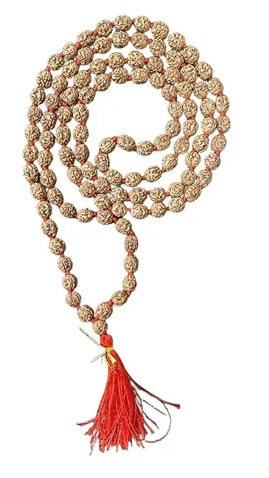 AstroBJ 4 Mukhi Rudraksha Mala "Siddh & Energised" A+++ Quality view 3