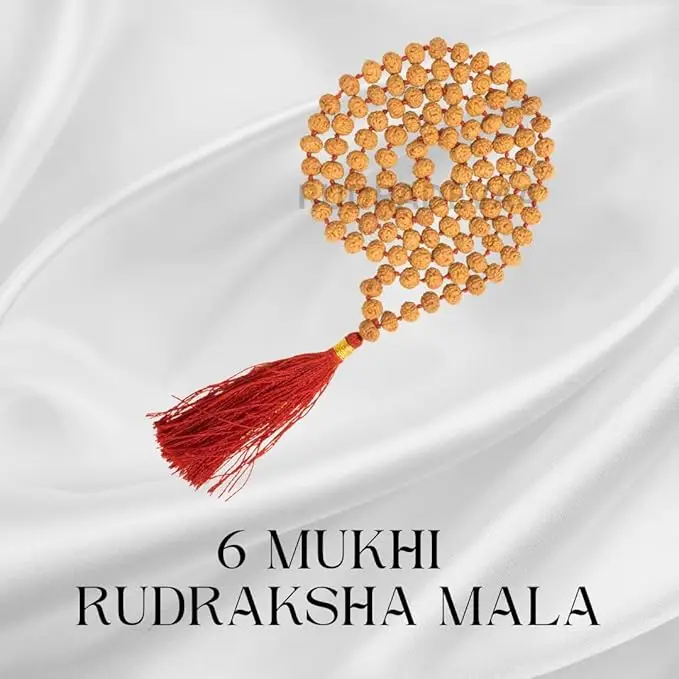 AstroBJ 6 Mukhi Rudraksha Mala "Siddh & Energised" A+++ Quality view 4