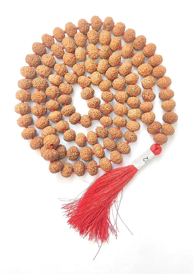 AstroBJ 10 Mukhi Rudraksha Mala "Siddh & Energised" A+++ Quality view 3