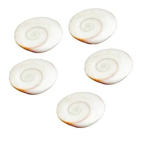 "Gomti Chakra" Set Of 5 pieces "Energized" view 4